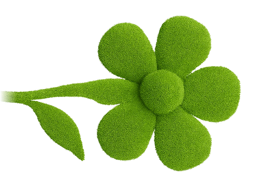 Blume